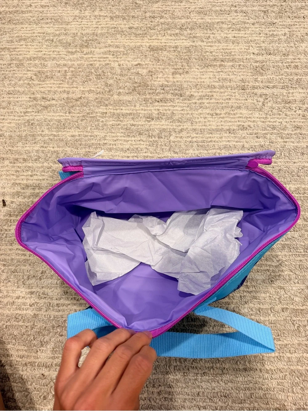 Trader Joe's Mini Cooler Bag